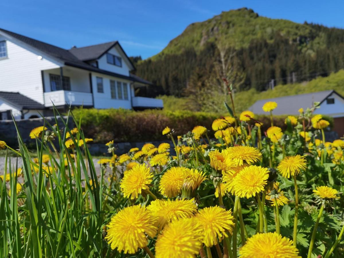 Banpim Hillside Lofoten With Jacusszi Gravdal  Exterior photo